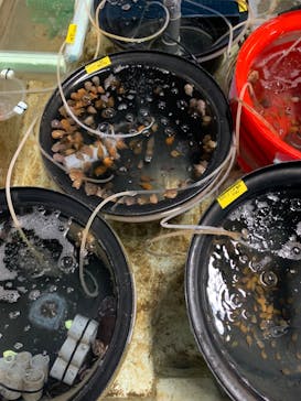 アクアマリンふくしまに投稿された画像（2024/4/28）