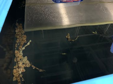 アクアマリンふくしまに投稿された画像（2024/4/28）