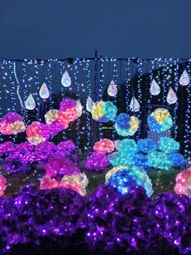 修善寺虹の郷に投稿された画像（2024/4/28）