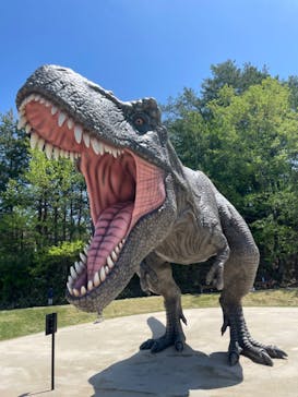 福井県立恐竜博物館に投稿された画像（2024/4/28）