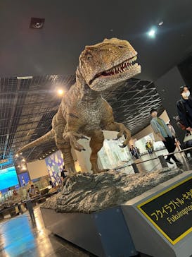 福井県立恐竜博物館に投稿された画像（2024/4/28）