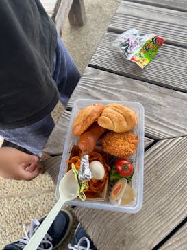 福井県立恐竜博物館に投稿された画像（2024/4/28）