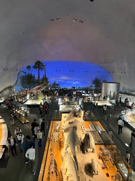 福井県立恐竜博物館に投稿された画像（2024/4/28）