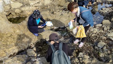 江の島1dayに投稿された画像（2024/4/28）