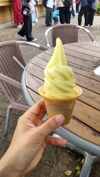 江の島1dayに投稿された画像（2024/4/28）