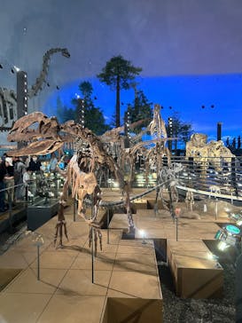福井県立恐竜博物館に投稿された画像（2024/4/28）
