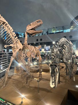 福井県立恐竜博物館に投稿された画像（2024/4/28）