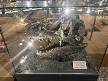 福井県立恐竜博物館に投稿された画像（2024/4/28）