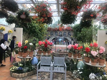 浜名湖花博2024に投稿された画像（2024/4/28）