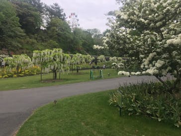 浜名湖花博2024に投稿された画像（2024/4/28）