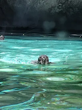 天王寺動物園に投稿された画像（2024/4/28）