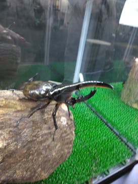 みんな大好き！！ペット王国に投稿された画像（2024/4/28）