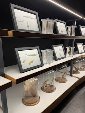 アクアワールド茨城県大洗水族館に投稿された画像（2024/4/28）