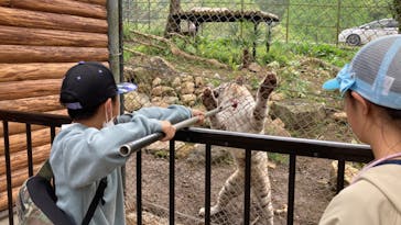 秋吉台自然動物公園 サファリランドに投稿された画像（2024/4/28）