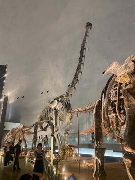 福井県立恐竜博物館に投稿された画像（2024/4/28）