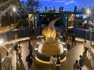 福井県立恐竜博物館に投稿された画像（2024/4/28）