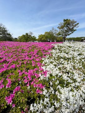 浜名湖花博2024に投稿された画像（2024/4/28）