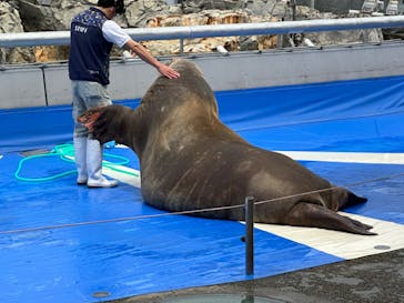大分マリーンパレス水族館 「うみたまご」に投稿された画像（2024/4/28）