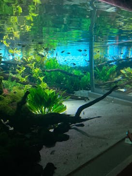 カワスイ 川崎⽔族館に投稿された画像（2024/4/28）