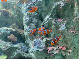 サンシャイン水族館に投稿された画像（2024/4/29）
