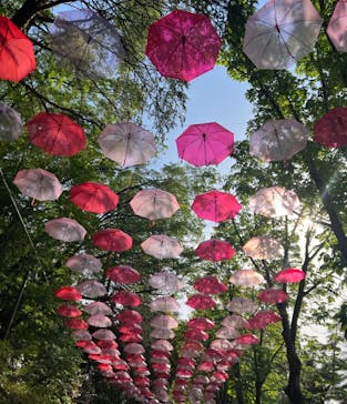 ムーミンバレーパークに投稿された画像（2024/4/28）