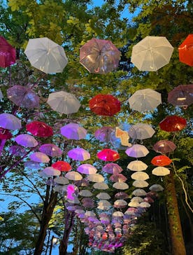 ムーミンバレーパークに投稿された画像（2024/4/28）