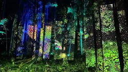チバームランド　光の切り絵ナイトウォークに投稿された画像（2024/4/28）