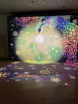 チバームランド　光の切り絵ナイトウォークに投稿された画像（2024/4/28）