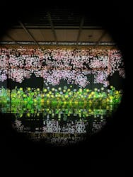 チバームランド　光の切り絵ナイトウォークに投稿された画像（2024/4/28）