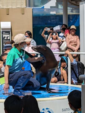 サンシャイン水族館に投稿された画像（2024/4/28）