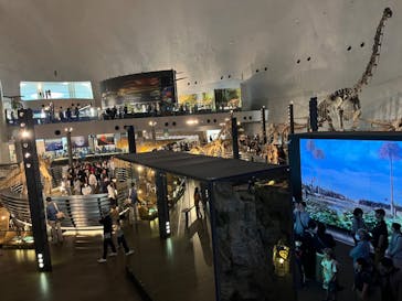 福井県立恐竜博物館に投稿された画像（2024/4/28）