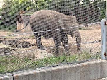 群馬サファリパークに投稿された画像（2024/4/28）