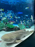 サンシャイン水族館に投稿された画像（2024/4/29）