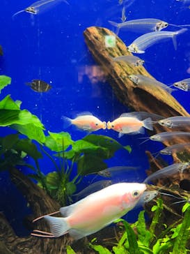 サンシャイン水族館に投稿された画像（2024/4/28）