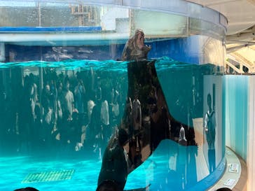 サンシャイン水族館に投稿された画像（2024/4/28）