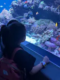 サンシャイン水族館に投稿された画像（2024/4/29）