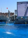 名古屋港水族館に投稿された画像（2024/4/29）