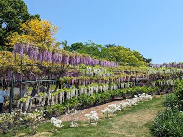 浜名湖花博2024に投稿された画像（2024/4/28）