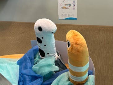 名古屋港水族館に投稿された画像（2024/4/29）