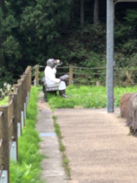 福井県立恐竜博物館に投稿された画像（2024/4/29）