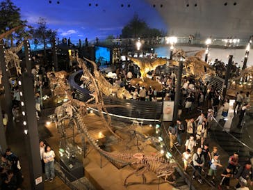 福井県立恐竜博物館に投稿された画像（2024/4/29）