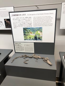 福井県立恐竜博物館に投稿された画像（2024/4/29）