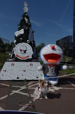 さがみ湖MORI MORIに投稿された画像（2024/4/29）