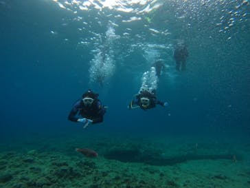 武藤潜水に投稿された画像（2024/4/29）