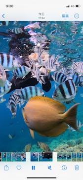 武藤潜水に投稿された画像（2024/4/29）