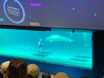 鴨川シーワールドに投稿された画像（2024/4/28）