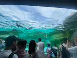 天王寺動物園に投稿された画像（2024/4/29）