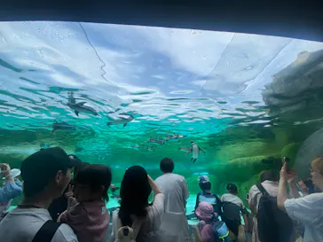 天王寺動物園に投稿された画像（2024/4/29）