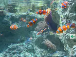 サンシャイン水族館に投稿された画像（2024/4/29）
