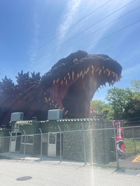 ニジゲンノモリに投稿された画像（2024/4/29）